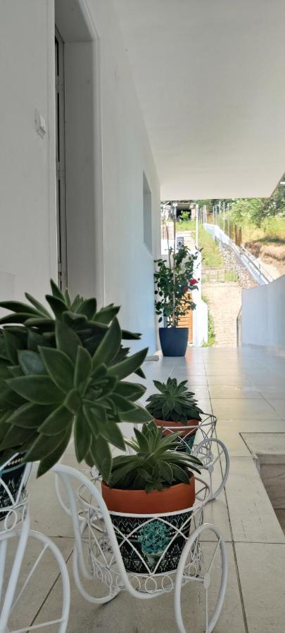 Kiperi Exclusive Hotel Parga Bagian luar foto